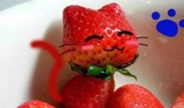 微笑爆料草莓视频大全,微笑爆料，带你领略网络红人的魅力瞬间