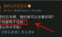 怎么看内鬼爆料视频,视频背后的真相与反思