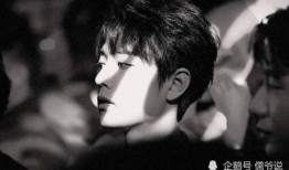 肖战主播互相爆料视频在线观看,精彩瞬间在线重温