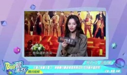 番薯姐姐爆料视频大全,揭秘幕后真相与精彩瞬间